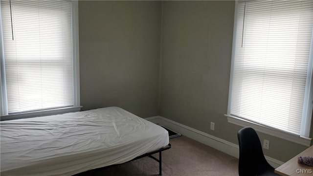 bedroom with carpet floors