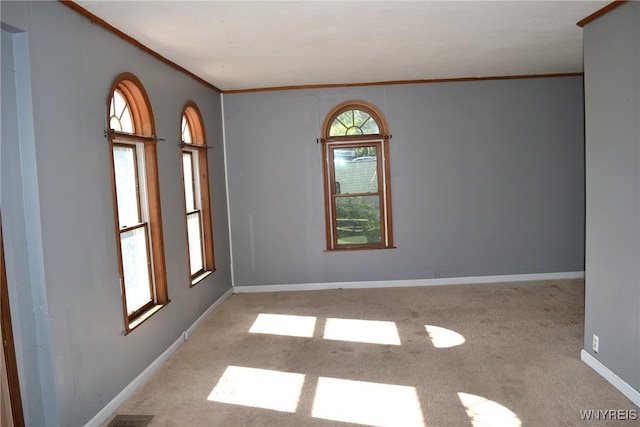 spare room featuring ornamental molding and light carpet