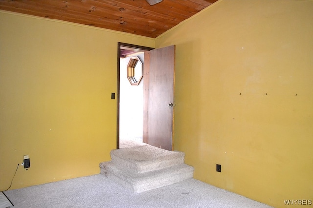 stairs featuring carpet and wooden ceiling