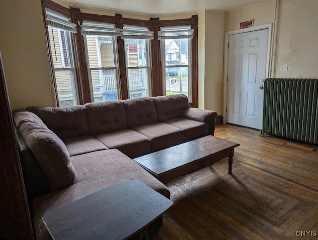 living room featuring a textured ceiling and radiator heating unit