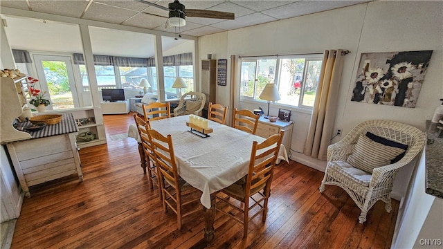 dining room featuring a drop ceiling, ceiling fan, and dark hardwood / wood-style flooring