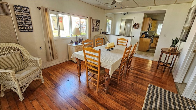 dining room featuring a drop ceiling, ceiling fan, and dark hardwood / wood-style flooring