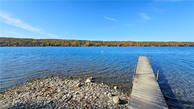 dock area with a water view