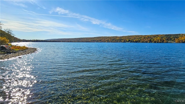 view of water feature