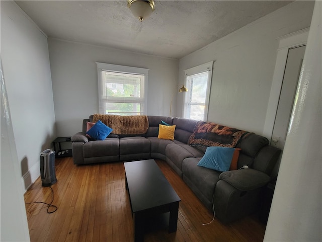 living room featuring wood-type flooring