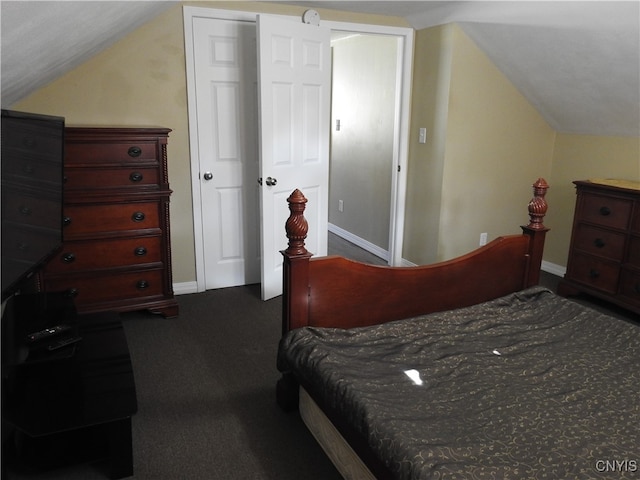 bedroom featuring lofted ceiling, carpet, and a closet