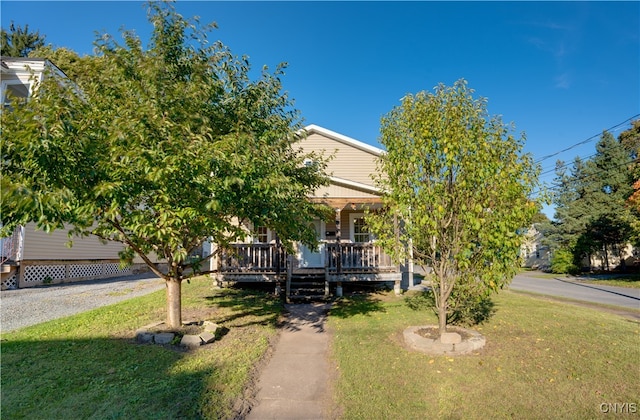 view of property hidden behind natural elements featuring a front lawn and a porch