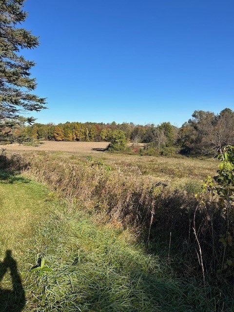 1129 Cheese Factory Rd, Mendon, NY 14472