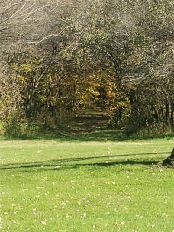 view of community featuring a yard