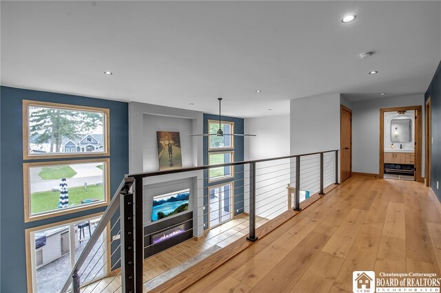 hall featuring light hardwood / wood-style flooring and a healthy amount of sunlight