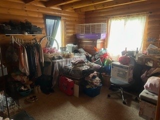 misc room featuring rustic walls and plenty of natural light