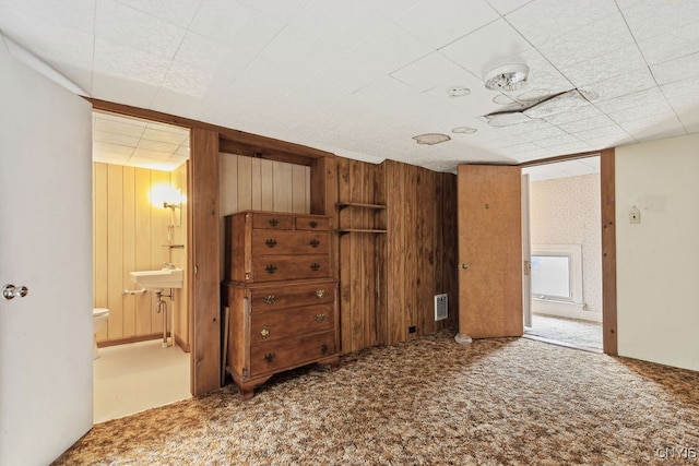 interior space with wood walls, carpet, and sink