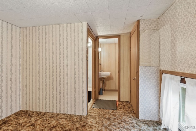 bathroom with wooden walls