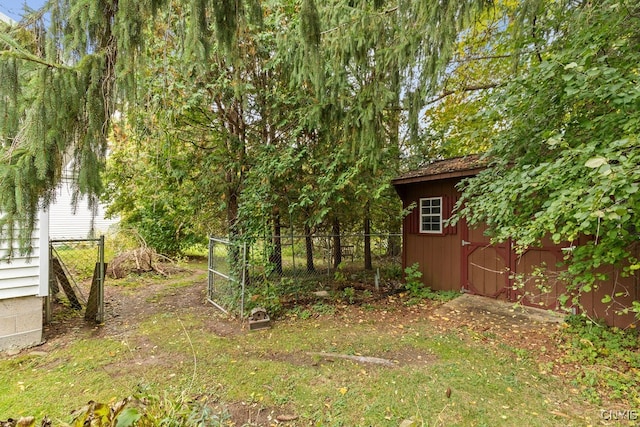 view of yard featuring a shed