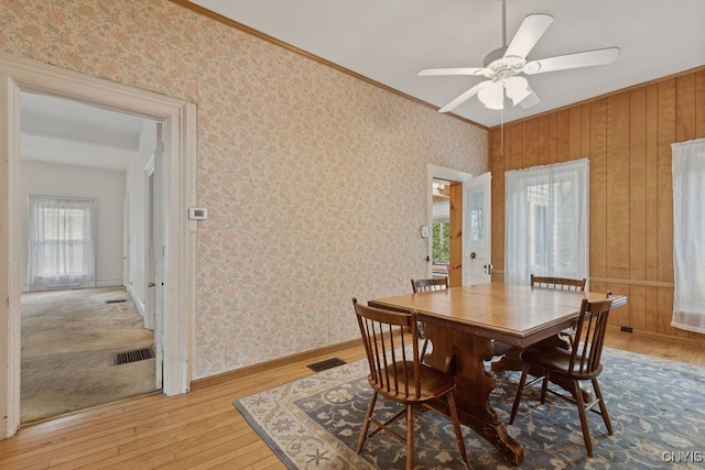 dining area with light hardwood / wood-style floors, ornamental molding, wooden walls, and ceiling fan