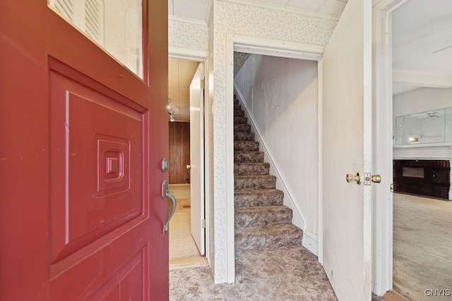 stairway with carpet