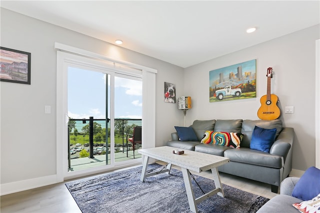 living room featuring hardwood / wood-style floors