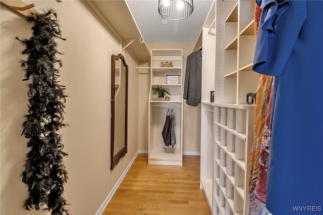 spacious closet with light hardwood / wood-style flooring