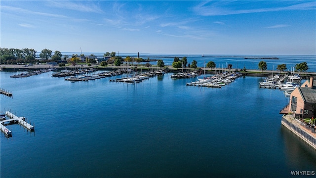 view of water feature featuring a dock