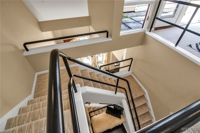 stairway with wood-type flooring