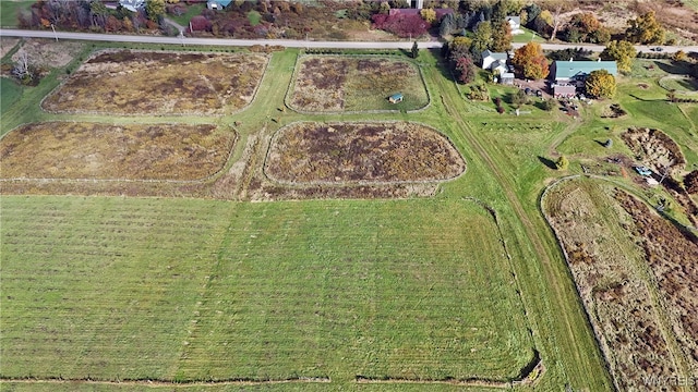 bird's eye view with a rural view