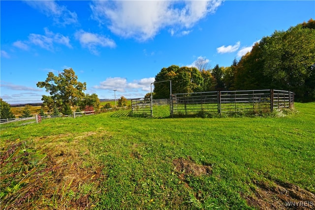 view of yard featuring a rural view