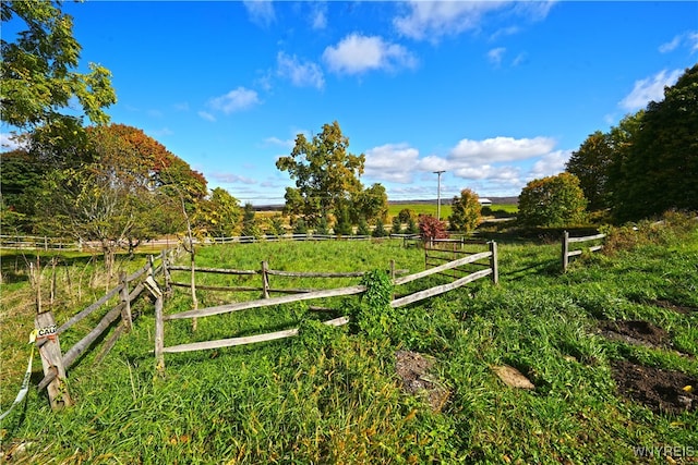 view of yard featuring a rural view