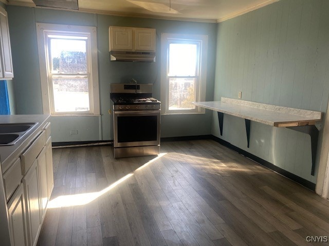 kitchen featuring gas stove, dark hardwood / wood-style floors, and plenty of natural light