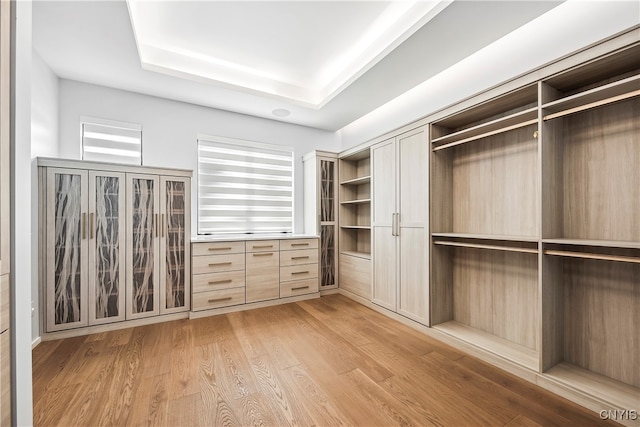 walk in closet featuring a tray ceiling and light hardwood / wood-style floors