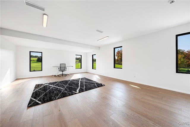 interior space featuring light hardwood / wood-style floors