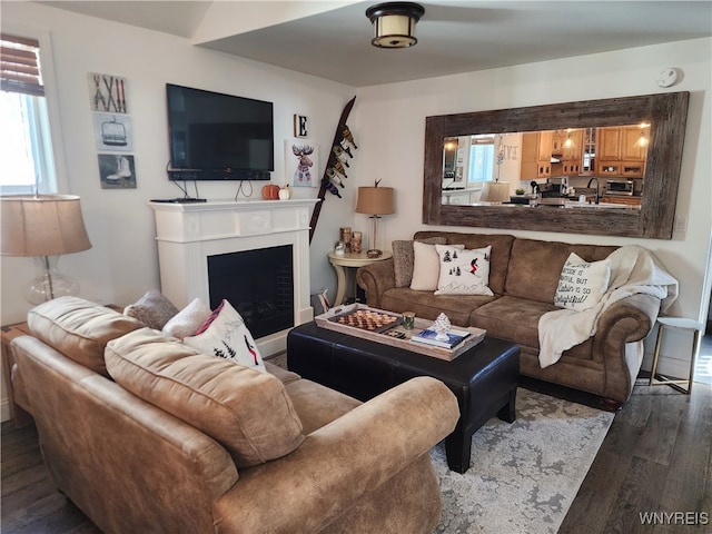 living room with sink and hardwood / wood-style flooring