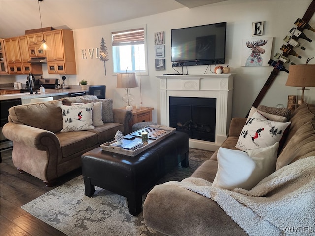 living room featuring dark wood-type flooring and vaulted ceiling