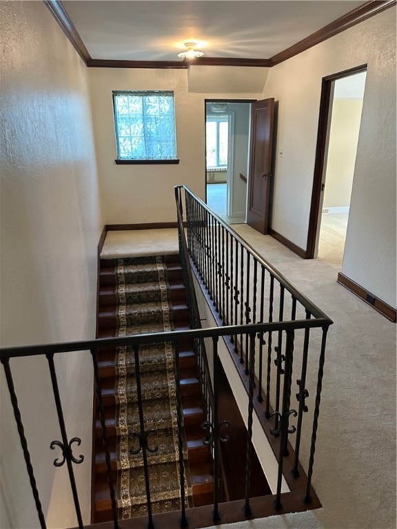 stairway featuring ornamental molding and carpet floors