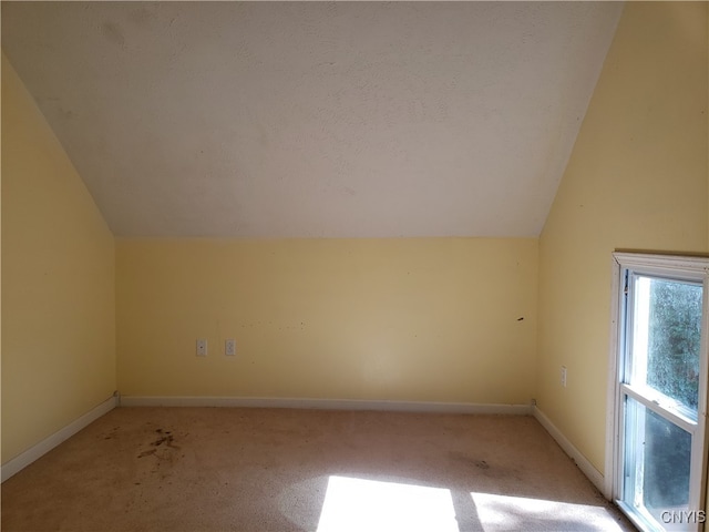 additional living space with lofted ceiling, a textured ceiling, and light colored carpet