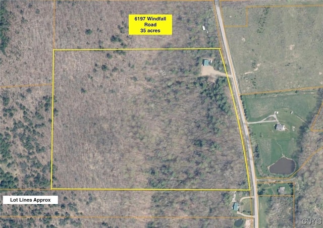 6197 Windfall Rd, Angelica, NY 14813 - aerial view of property's location with property boundaries highlighted