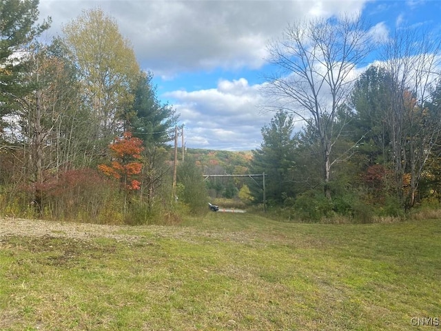 6197 Windfall Rd, Angelica, NY 14813 - view of grassy yard