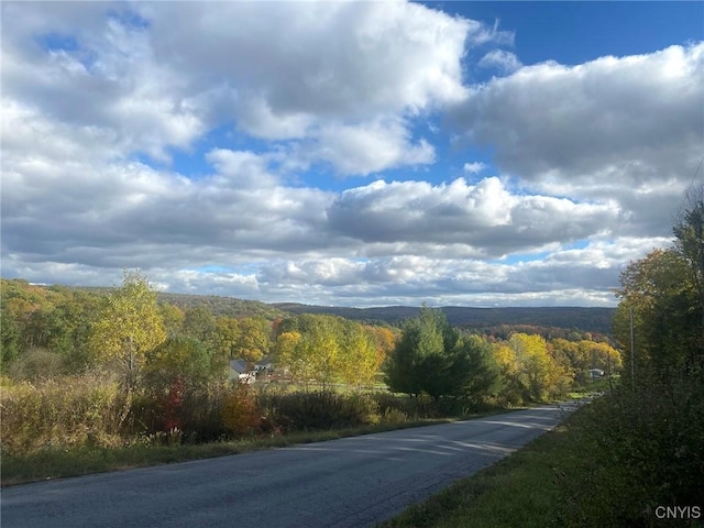 6197 Windfall Rd, Angelica, NY 14813 - view of asphalt street featuring a wooded view