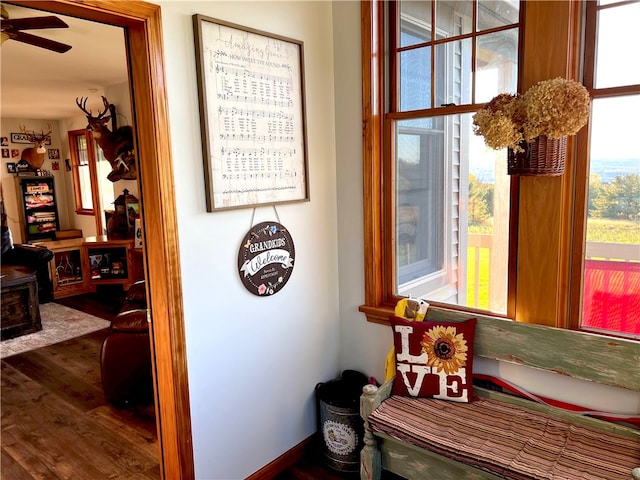 interior details featuring wood-type flooring and ceiling fan