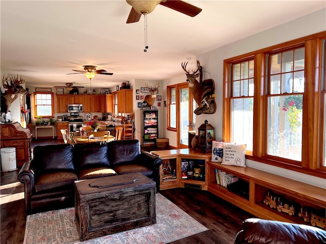 living room with ceiling fan and dark hardwood / wood-style flooring