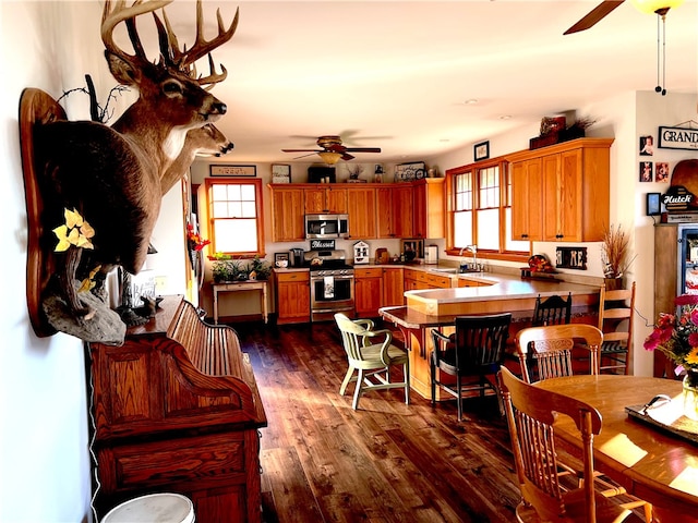 kitchen with kitchen peninsula, ceiling fan, appliances with stainless steel finishes, dark wood-type flooring, and sink