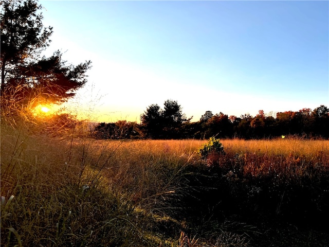 view of nature at dusk