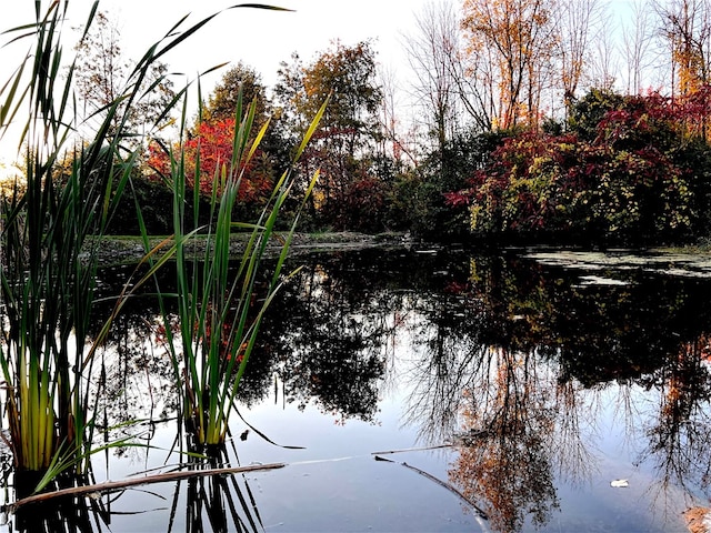 view of water feature