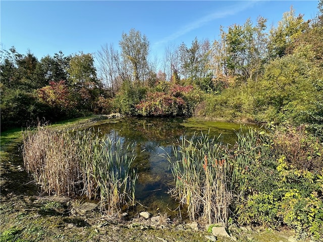 view of water feature