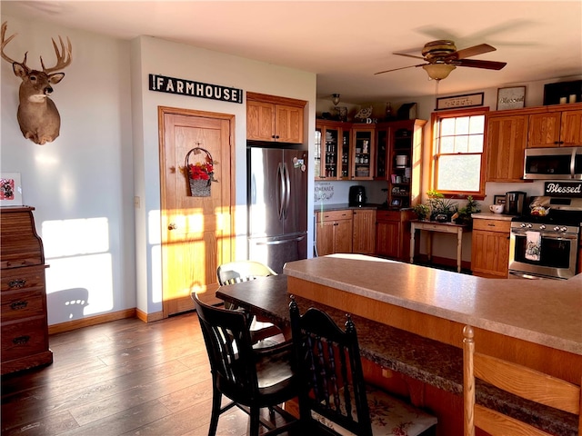 kitchen featuring appliances with stainless steel finishes, dark hardwood / wood-style floors, and ceiling fan