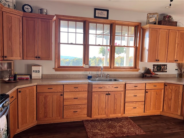 kitchen featuring sink, stainless steel range, and dark hardwood / wood-style floors