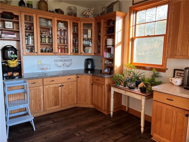 kitchen featuring dark wood-type flooring