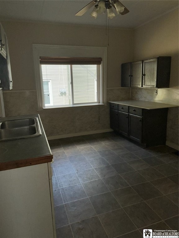 kitchen with sink and ceiling fan