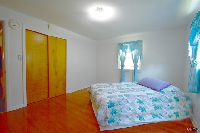 bedroom featuring hardwood / wood-style flooring and a closet