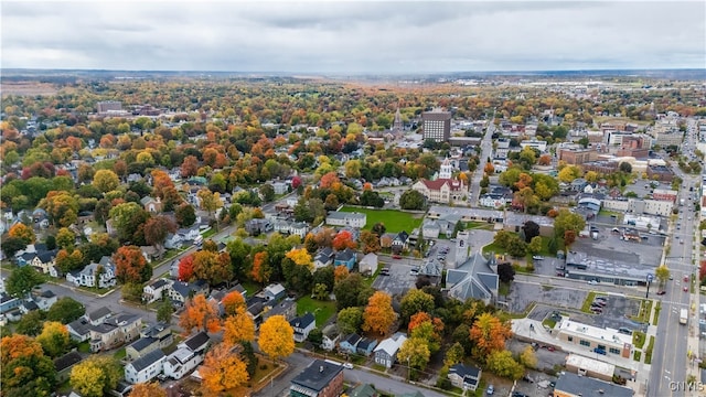 drone / aerial view