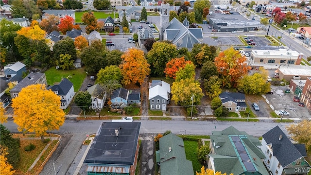 bird's eye view